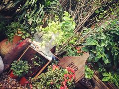 iphone_upload_pic-胡桃里乐队酒馆(鎏嘉码头店)