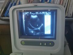 -瑞派宠物医院·中兽医专科(中央商城分院)