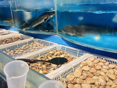 -深海800米海鲜自助(万达广场店)