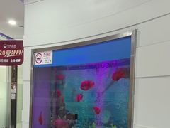 -雅悦齿科(顾村公园店)