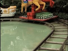 -南宫五洲植物乐园