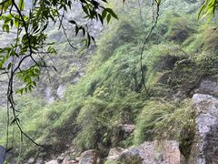 -西岭雪山大飞水景区