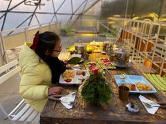 -九善农植有机生活农场