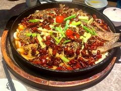 -老板恋上鱼(恒隆广场店)