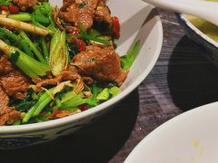 香菜炒牛肉-壹盏灯(蚂蚁工房店)