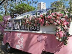 -长白岛森林公园