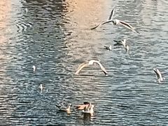 -天津海河悦榕庄·Lobby Lounge大堂吧