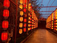 -寻梦滕王阁实景演出