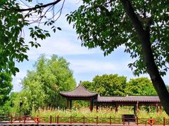 -白塔湖国家湿地公园