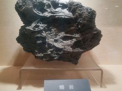 -安徽省地质博物馆