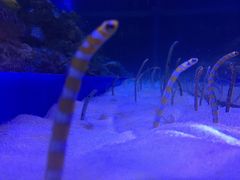 -成都浩海立方海洋公园