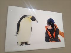 -罗红摄影艺术馆