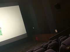 -博纳国际影城IMAX(中央大道店)