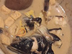 -云海肴云南菜·蒸汽石锅鱼(青岛万象城店)