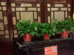 -老浒记烤鸭-北京菜(琉璃厂店)