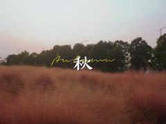 -映月湖中央公园