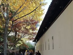 -西园寺素食(西园弄戒幢律寺店)