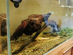 -甜心闲生传统手工冰粉(奎星楼店)