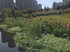 -那考河湿地公园
