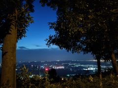 -铁山坪森林公园