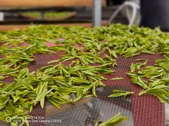 -听风阁农家私房菜茶楼(龙坞店)