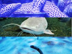 -厦门海底世界