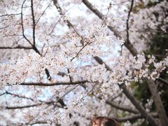 -南浦大桥长途旅游客运站