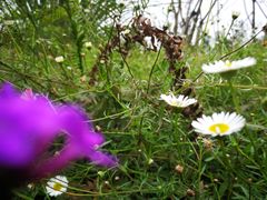 -白鹭湾湿地公园