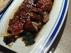 -关东大厨老三熏鹅(新石店)