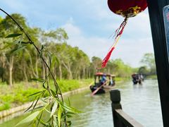 -溱湖国家湿地公园