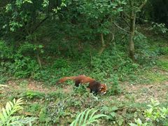 -西安秦岭野生动物园