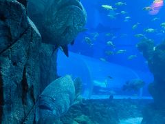 -成都浩海立方海洋公园