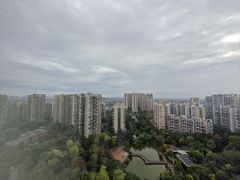 -成都保利公园皇冠假日酒店(熊猫基地店)