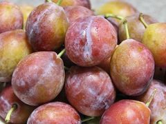 -鲜力达果品批发直销(青山店)