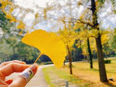 -Club Med地中海俱乐部·桂林度假村