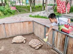 -水上乐园·欢乐世界