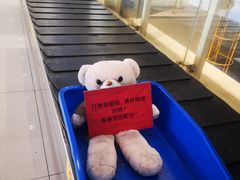 -丽江三义国际机场