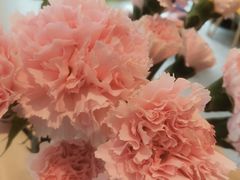 -德克士(城南店)