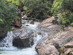 -广州白江湖森林公园