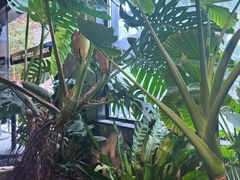 -J Create城市露营咖啡·简餐·宠物(上海动物园店)