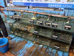 -蓝湾碧波·老字号·疍家非遗海上餐厅