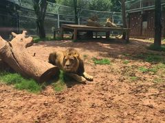 -昆明动物园