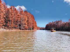 -上海海湾国家森林公园