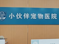 -小伙伴宠物医院•急重症转诊中心·老年专科·犬猫全科(北大街总院)