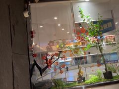 -吉庆莲年有鱼炭烤鱼(苏宁广场店)