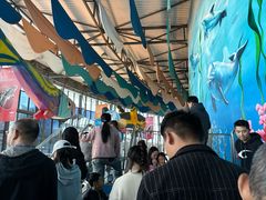 -海合安成都极地海洋公园