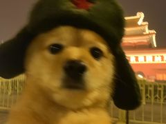 -海汕记·潮汕鲜牛肉火锅·自助