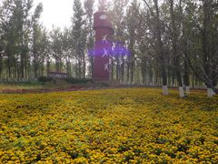 -天津武清北运河郊野公园房车露营地