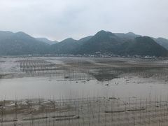 -北岐滩涂