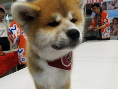 -重庆国际会议展览中心